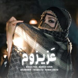 موزیک ویدیو محمود هارونی عزیزوم