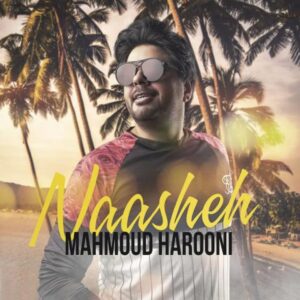 موزیک ویدیو محمود هارونی ناشه